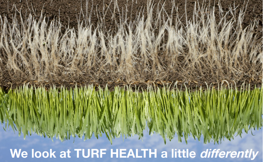 turf-health